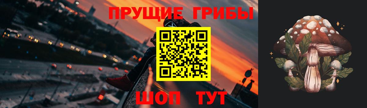 Псилоцибиновые грибы ЛСД  Галлюциногенные грибы Psilocybe  Вход с VPN  Аша 